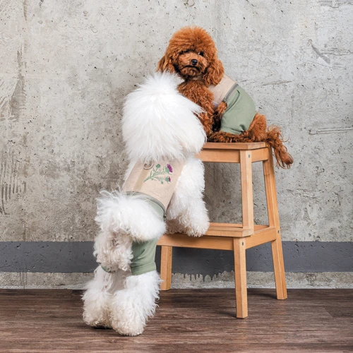 Шлея-костюм Pet Fashion Patrik XS2 (4823082434404): Размер животного Маленькие