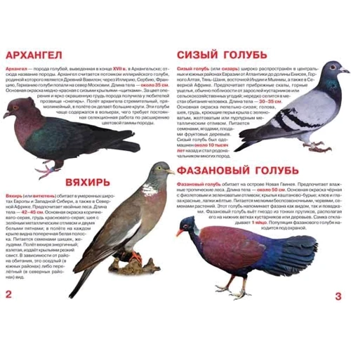 Велика книга. голуби: Виробник БАО