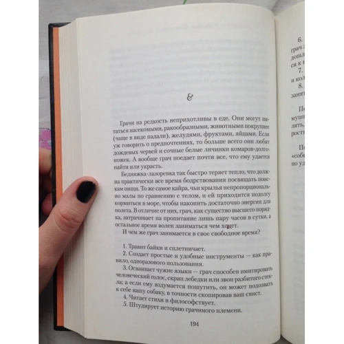 Діана Сеттерфілд. Беллмен і Блек, або Незнайомець в чорному: Виробник Абетка