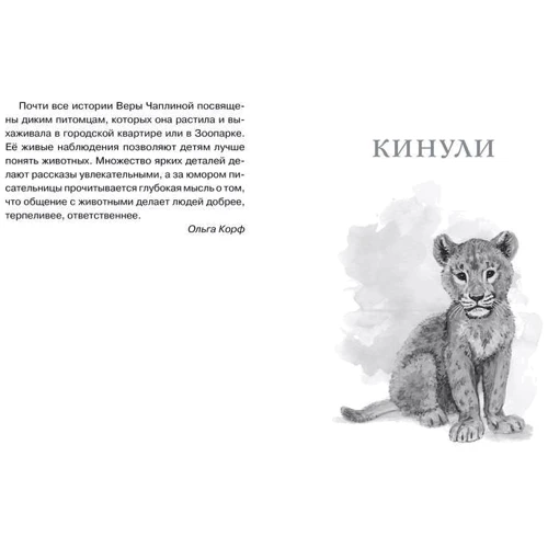 Вера Чаплина. Фомка - белый медвежонок: Производитель Махаон