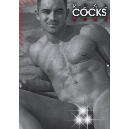 Календар Pin-up Kalender HC Real Cocks 2022: Виробник Orion