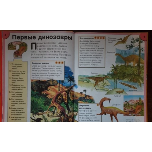 Интерактивная энциклопедия в вопросах и ответах: Обложка Твердая