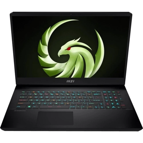 Ноутбук MSI Alpha 17 C7VF-006US (ALPHA17C7006): Екран 17.3" IPS (2560x1440)
