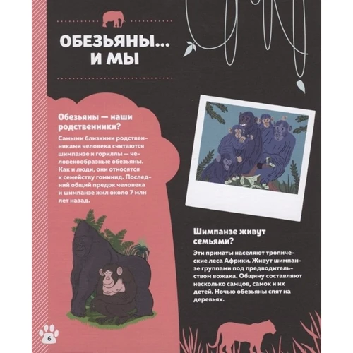 Эрик Мативе: Дикие животные: Обложка Твердая
