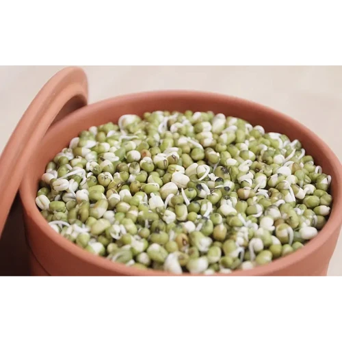 Глиняные горшки для проращивания Hawos Tonkeimer