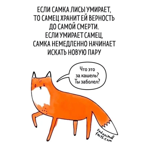 Брук Баркер: Сумні факти про тварин: ISBN 978-5-6040083-4-8