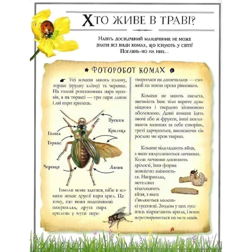 М. Лекре, С. Ґалле, Де К. Р. Люз: Boys’ Book. Підручник відважного мандрівника фото 6