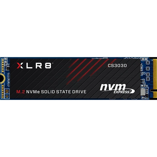 PNY CS3030 1 TB (M280CS3030-1TB-RB)