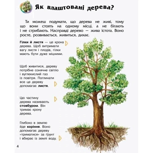 Енциклопедія дошкільника. Ліс: Обложка Мягкая