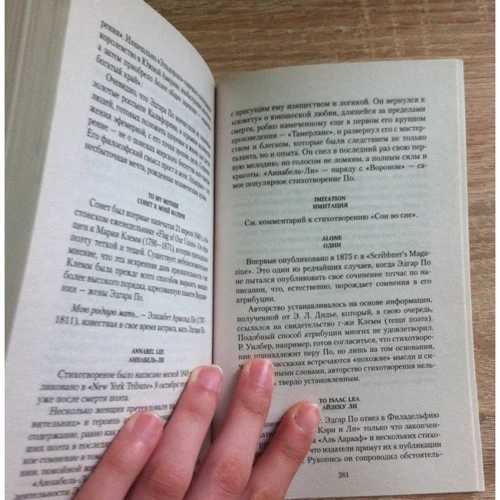 Эдгар Аллан По. Ворон: Количество страниц 288