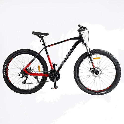 Велосипед спортивный Corso X-Power 29" (PW-80198)