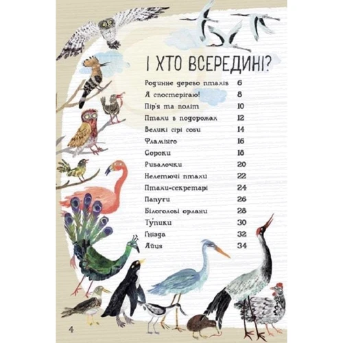 Ювал Зоммер: Велика книга птахів: Автор Юваль Зоммер