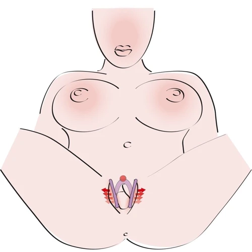 Вагинальный расширитель со стимулятором точки G Orion Intimate Spreader