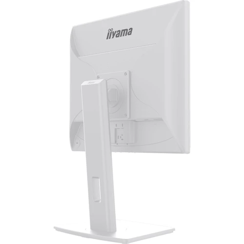 Монитор Iiyama ProLite B1980D-W5 White: Разъемы VGA, DVI