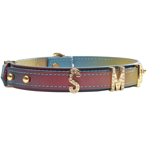 Ошейник LOCKINK Multi-color DIY Alphabet Collar