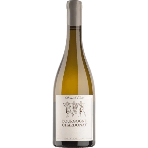 Вино Benoit Ente Bourgogne Chardonnay, 2016 (0,75 л) (BW37532)