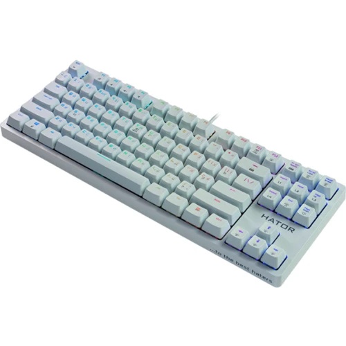 Клавиатура HATOR Rockfall EVO TKL Optical White (HTK-631): Тип клавиатуры компактная