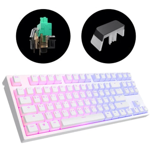 Клавиатура Dark Project KD87A PBT Mechanical Gateron Cap Teal White (DP-KD-87A-107700-GTC): Тип клавиш механический