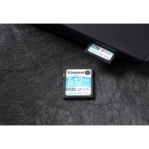 Карта памяти Kingston 64GB SDXC Class 10 UHS-I U3 V30 Canvas Go Plus (SDG3/64GB): Объем 64 ГБ