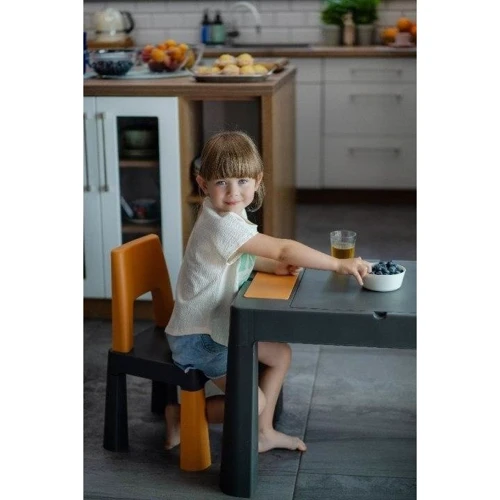 Комплект детской мебели Tega Baby для Lego Teggi Multifun (TI-011-172): Тип набор