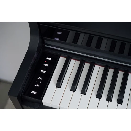 Цифровое пианино CASIO AP-S450BK: Количество клавиш 88 (7.5 октав)
