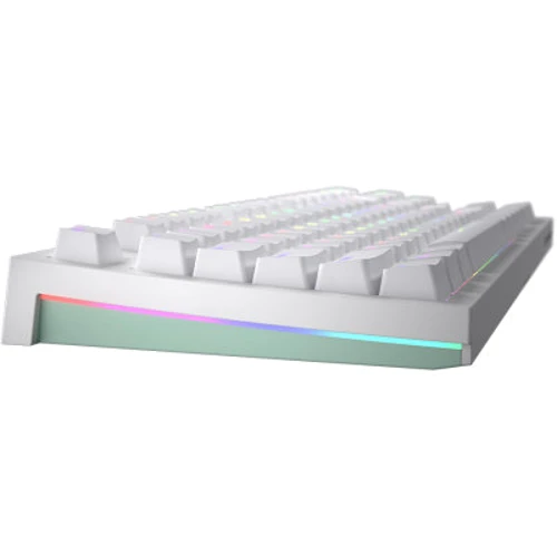 Клавиатура HATOR Skyfall TKL PRO White (HTK-656): Тип клавиатуры игровая