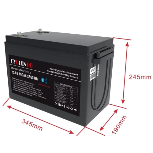 Аккумуляторная батарея Cyclen 25.6V 100Ah 100А LiFePo4: Емкость, Ач 100