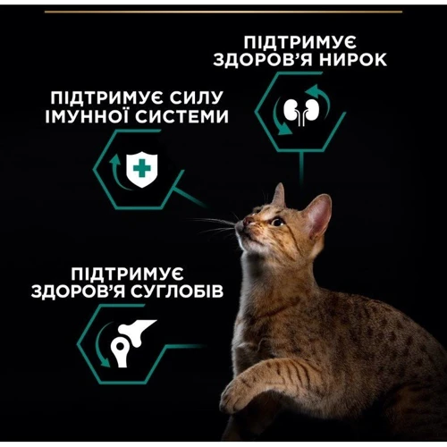 Сухий корм Pro Plan RENAL PLUS з куркою 1.5 кг (7613036505956) фото 11