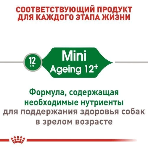 Сухой корм для собак Royal Canin Mini Ageing 12+ малых пород старше 12 лет 800 г (1007008): Возраст Взрослые