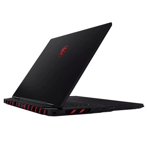 Ноутбук MSI Raider 18 HX A14VHG-258US (RAIDER18HX14258): Оперативная память 128 ГБ (DDR5)