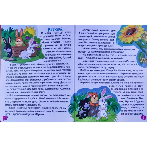 Велика книга для читання. Дивовижні казки: Жанр Сказки