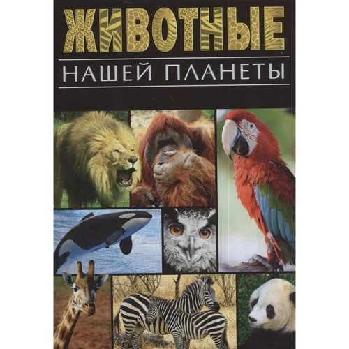 Анита Анселми: Животные нашей планеты