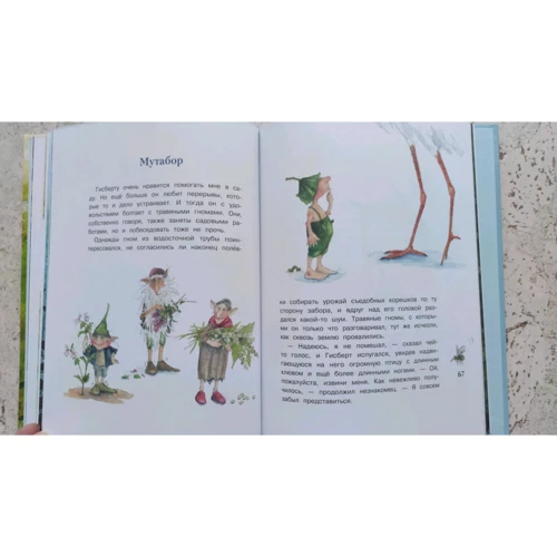 Даниэла Дрешер: Гном из водосточной трубы. Журчащий ручеек: Производитель Стрекоза