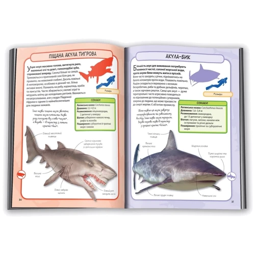 Акули и скати. Міні-енциклопедія: ISBN 978-966-923-089-8