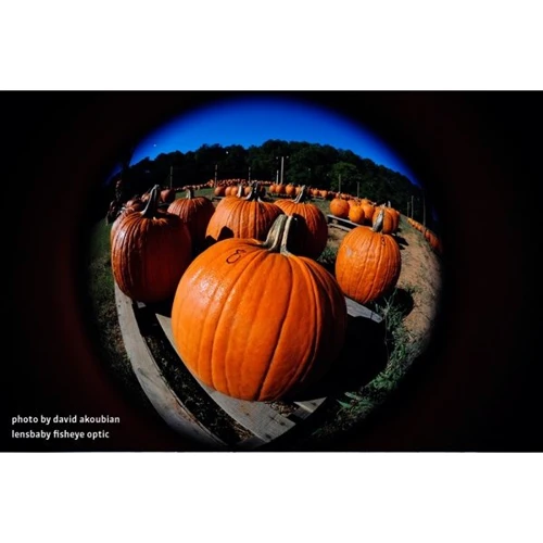 Объектив для фотоаппарата Lensbaby Scout with Fisheye for Sony Alpha: Диафрагма при мин./макс. фокусном расстоянии f/4