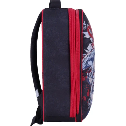 Рюкзак Bagland Turtle 17 л. черный 609 (0013466): Пол ребенка Для мальчиков