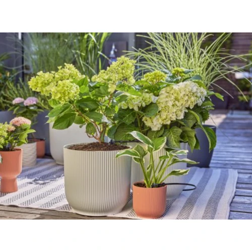 Набор для капельного полива Gardena Micro-Drip-System Terrace Set (13400-20.000.00): Диаметр, дюймы (мм) 1/2 (13)