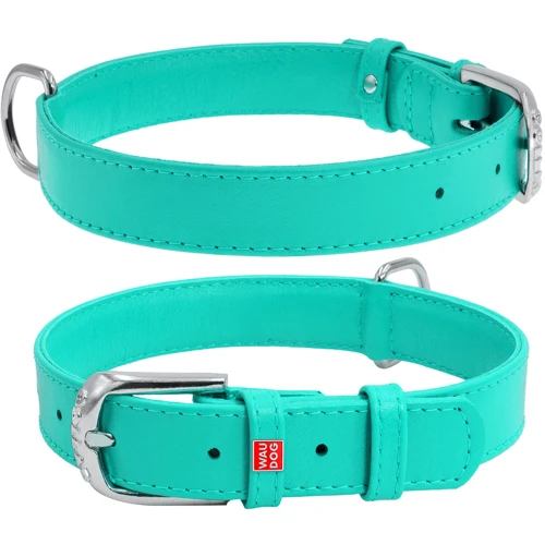Ошейник WAUDOG Glamour без украшений 20 мм 30-39 см ментоловый (329313)
