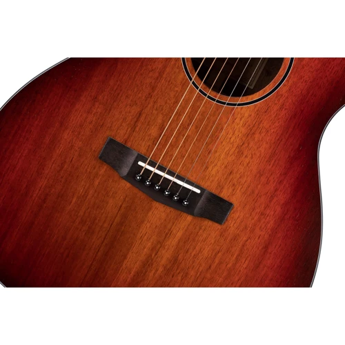 Гітара CORT Core-OC Blackwood (Open Pore Light Burst) w/case: Кількість струн 6
