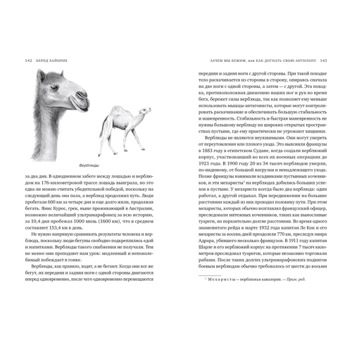 Бернд Хайнрих: Зачем мы бежим, или Как догнать свою антилопу: ISBN 978-5-389-15826-9