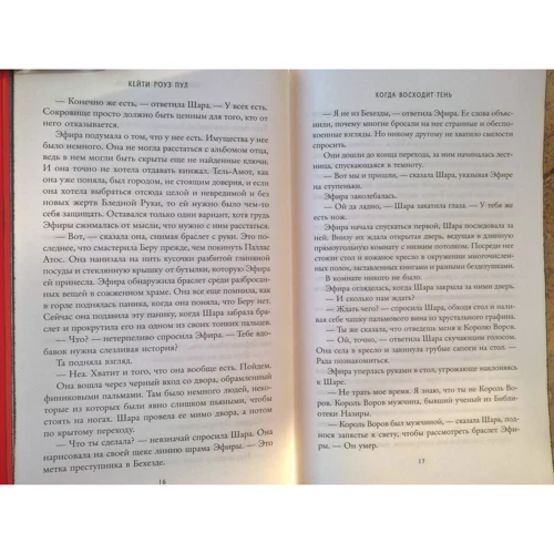 Кейті Роуз Пул: Коли сходить тінь. Книга 2: Кількість сторінок 512