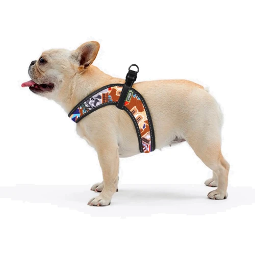 Шлея HiDog Comfort Europe 33-39 см XS разноцветная (136\1014) фото 5