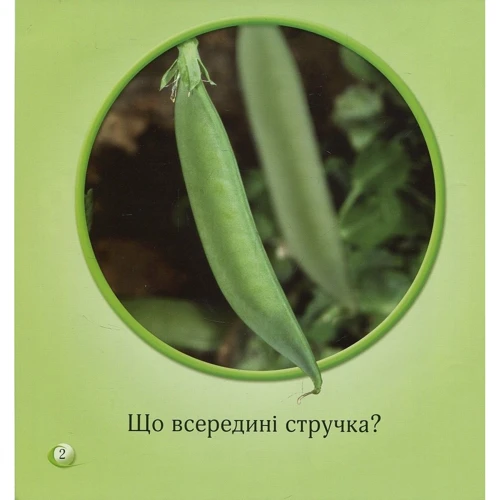 Моніка Г’юс: Що всередині?: Производитель КМ-Букс