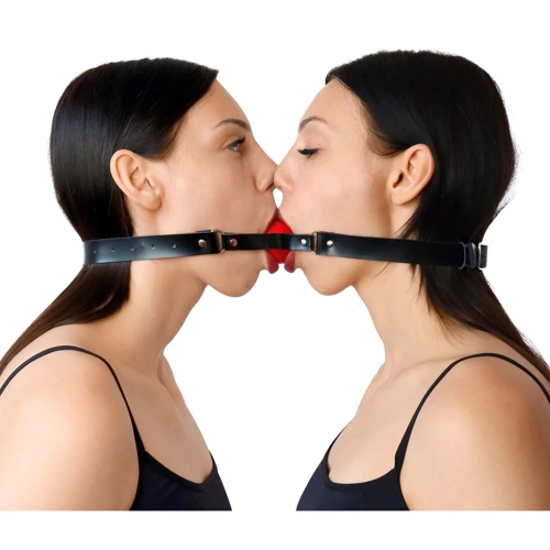 Двойной кляп Art of Sex - Twins