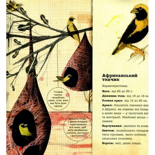 Даніель Нассар: Архітектори у світі тварин: ISBN 978-617-7329-08-3