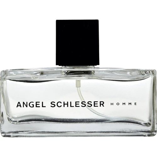 

Туалетная вода Angel Schlesser Homme 125ml