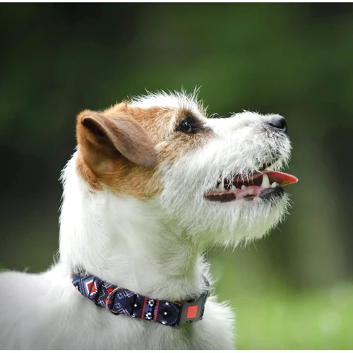 Нашийник HiDog Aztec purple XS 10 мм 18-28 см різнокольоровий (101\1006): Колір разноцветный