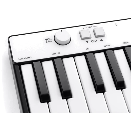 IK MULTIMEDIA iRig Keys Mini: Разъёмы и интерфейсы USB