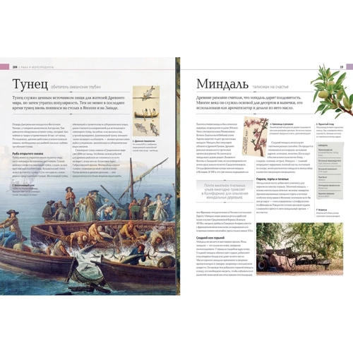 История еды. Иллюстрированный гид по миру еды: Количество страниц 360