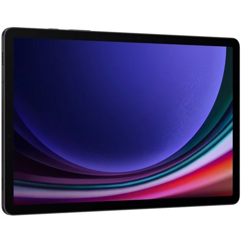 Планшет Samsung Galaxy Tab S9 12/256GB 5G Graphite (SM-X716BZAE): Встроенная память 256 ГБ